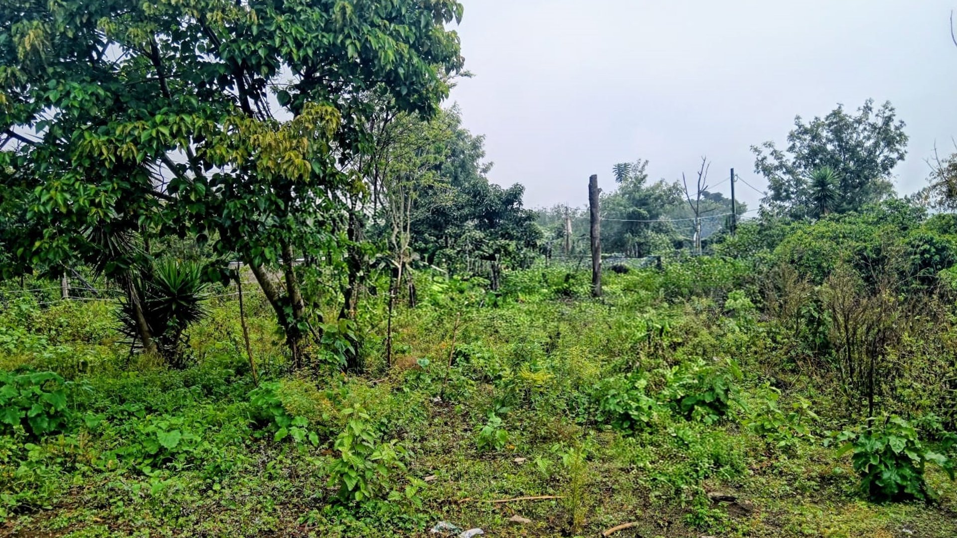 SE VENDE TERRENO SAN MIGUEL ESCOBAR - Miniatura 2