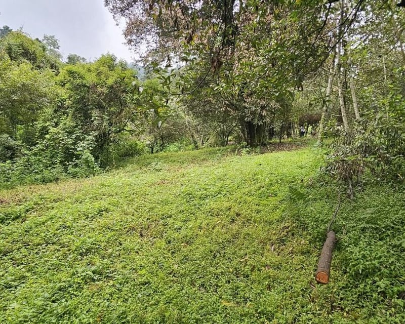 TERRENO EN VENTA SAN LUCAS KM 31.5 CARRETERA ANTIGUA