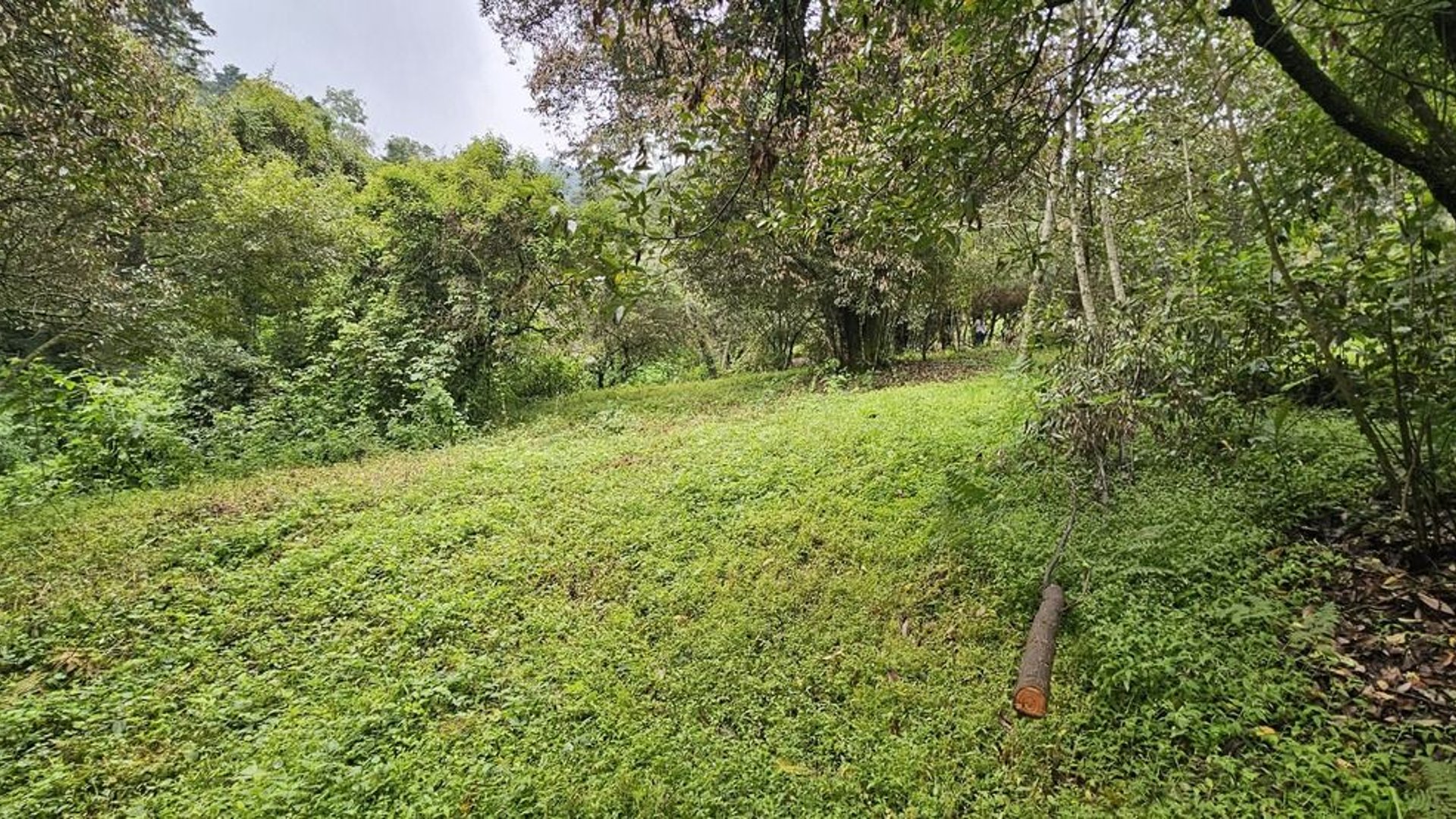 TERRENO EN VENTA SAN LUCAS KM 31.5 CARRETERA ANTIGUA