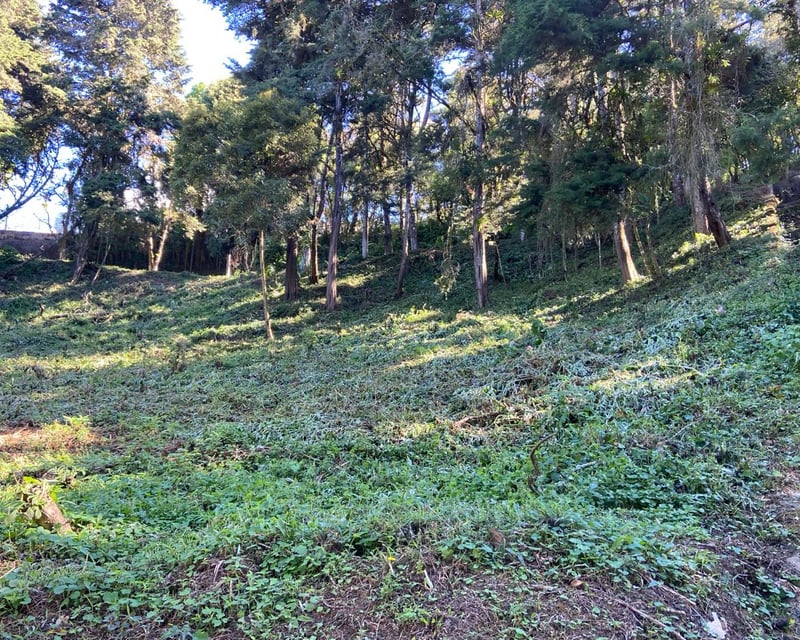 Terreno en Venta La Hondonada Santa Catarina Pinula