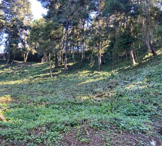 Terreno en Venta La Hondonada Santa Catarina Pinula