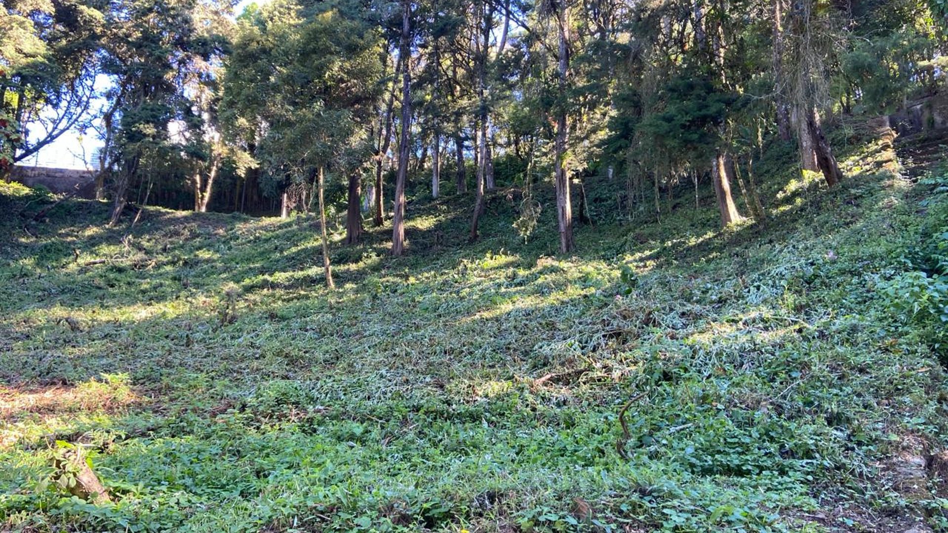 Terreno en Venta La Hondonada Santa Catarina Pinula