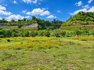Terreno en venta sobre VAS Atanasio – 17,500 varas² - 5