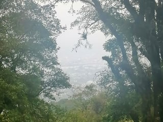 Vendo Terreno, Bosque Exclusivo | Labor de Castilla 1 - 3