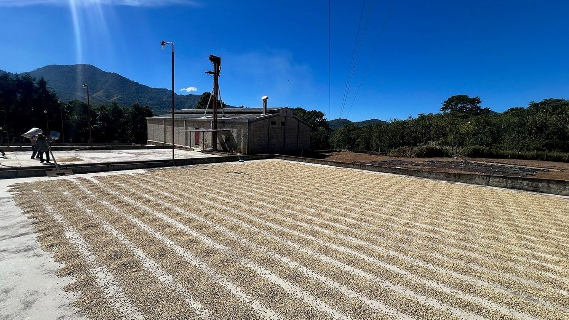 Finca en VENTA en  Barberena, Santa Rosa - Miniatura 7