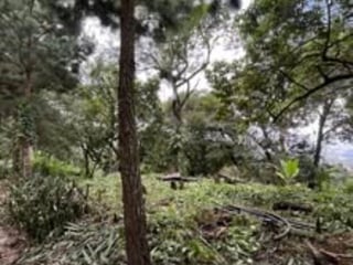 Terrenos en venta en Santa Rosalía – Vista espectacular a la ciudad km 12.5 CAES - 3