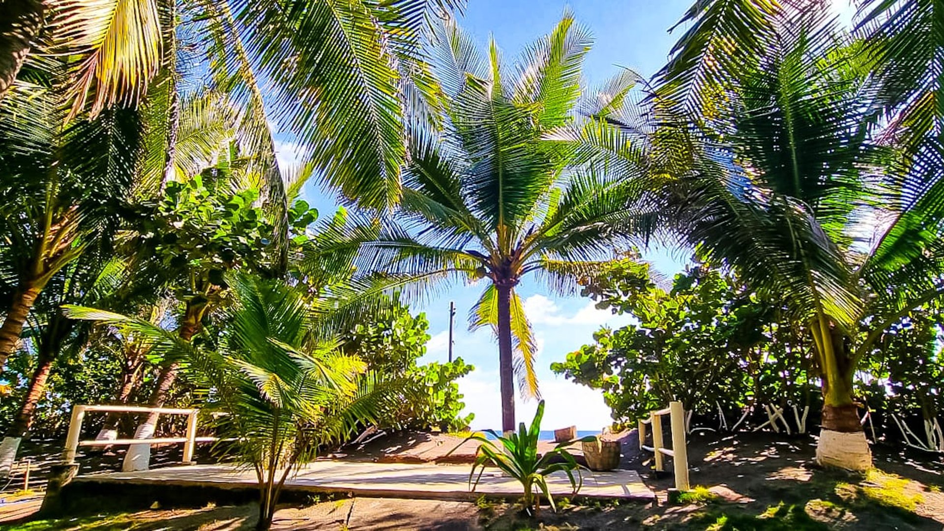 Casa en Venta en Playa Las Lisas, Santa Rosa - Miniatura 19