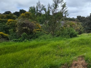 Terreno en Venta Granja Villas Alicia KM 32.9 Santiago - 2