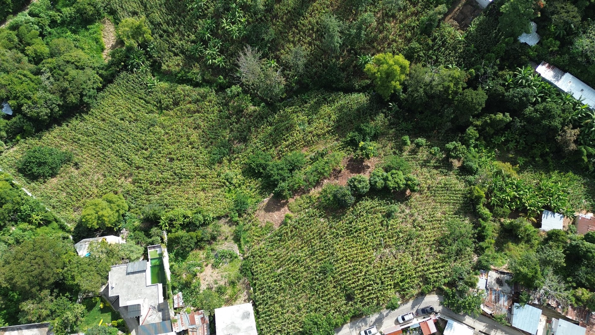 Precioso Terreno En Venta En El Centro de Palencia - Miniatura 7