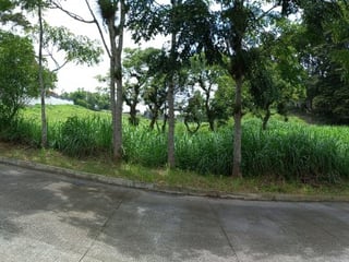 Terreno Residencial en Condado Javier km 16.5 CAES - Image 6