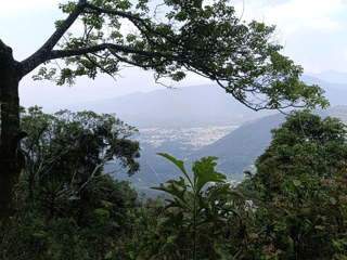 Terreno en Venta en Aldea El Hato, Sacatepequez - 3