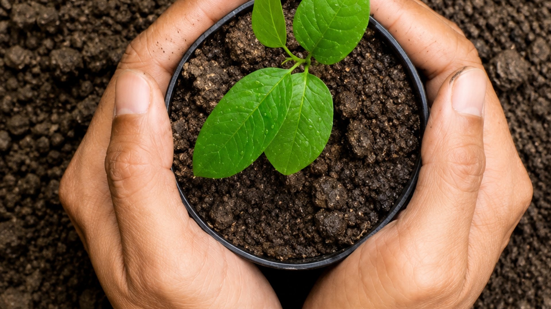 FINCA FORESTAL CERTIFICADA EN VENTA | ESCUINTLA GUATEMALA - Miniatura 10