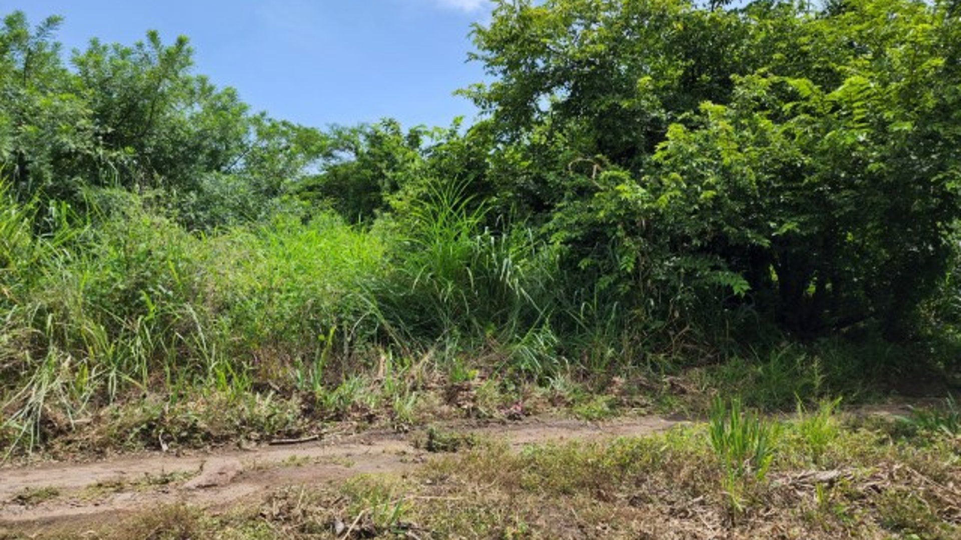 Terreno de 14 x 50 metros en Venta Quintas Malibu