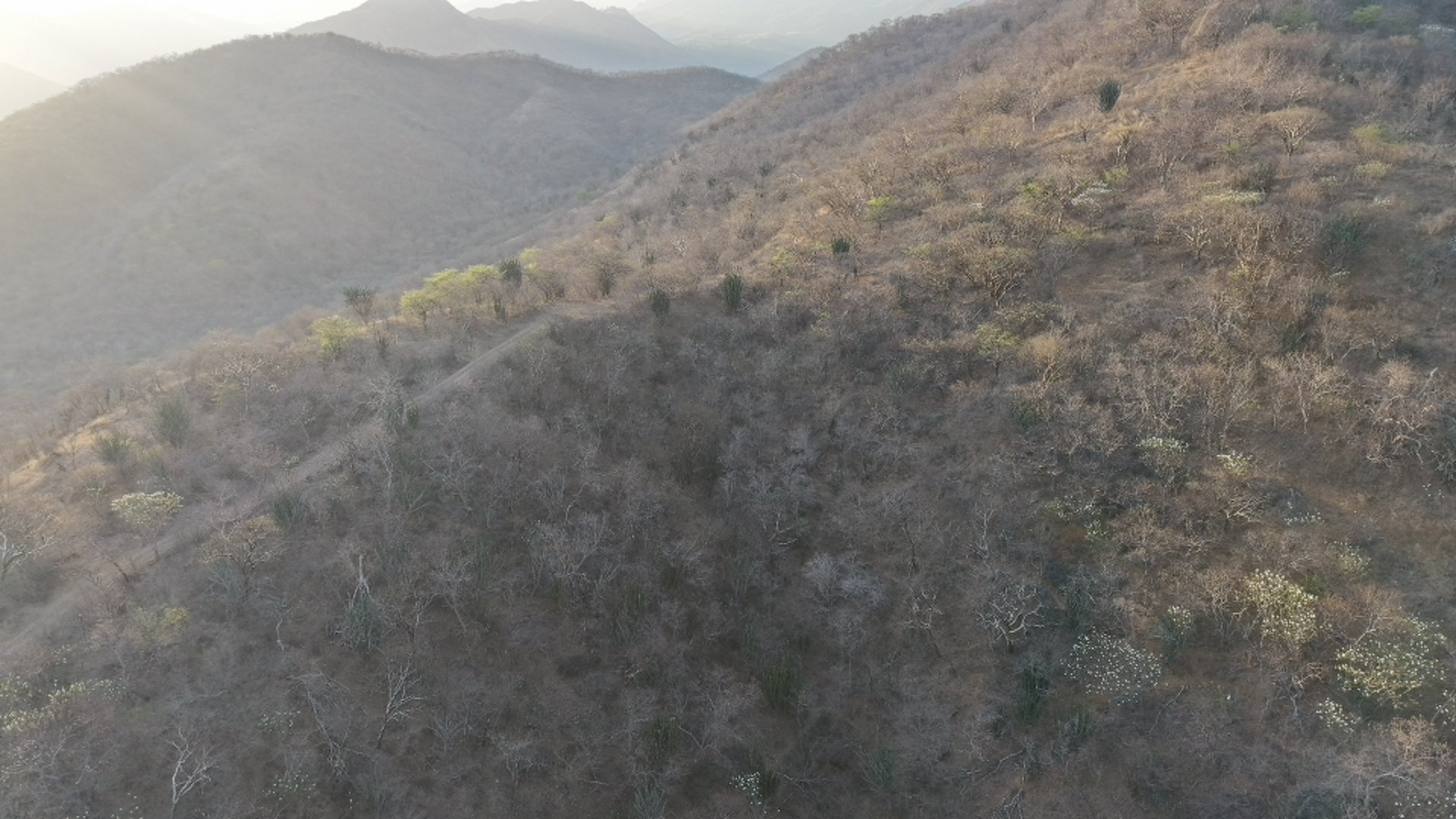 Magnífica Finca en Venta: Zacapa, Guatemala - Oportunidad Única - Miniatura 13