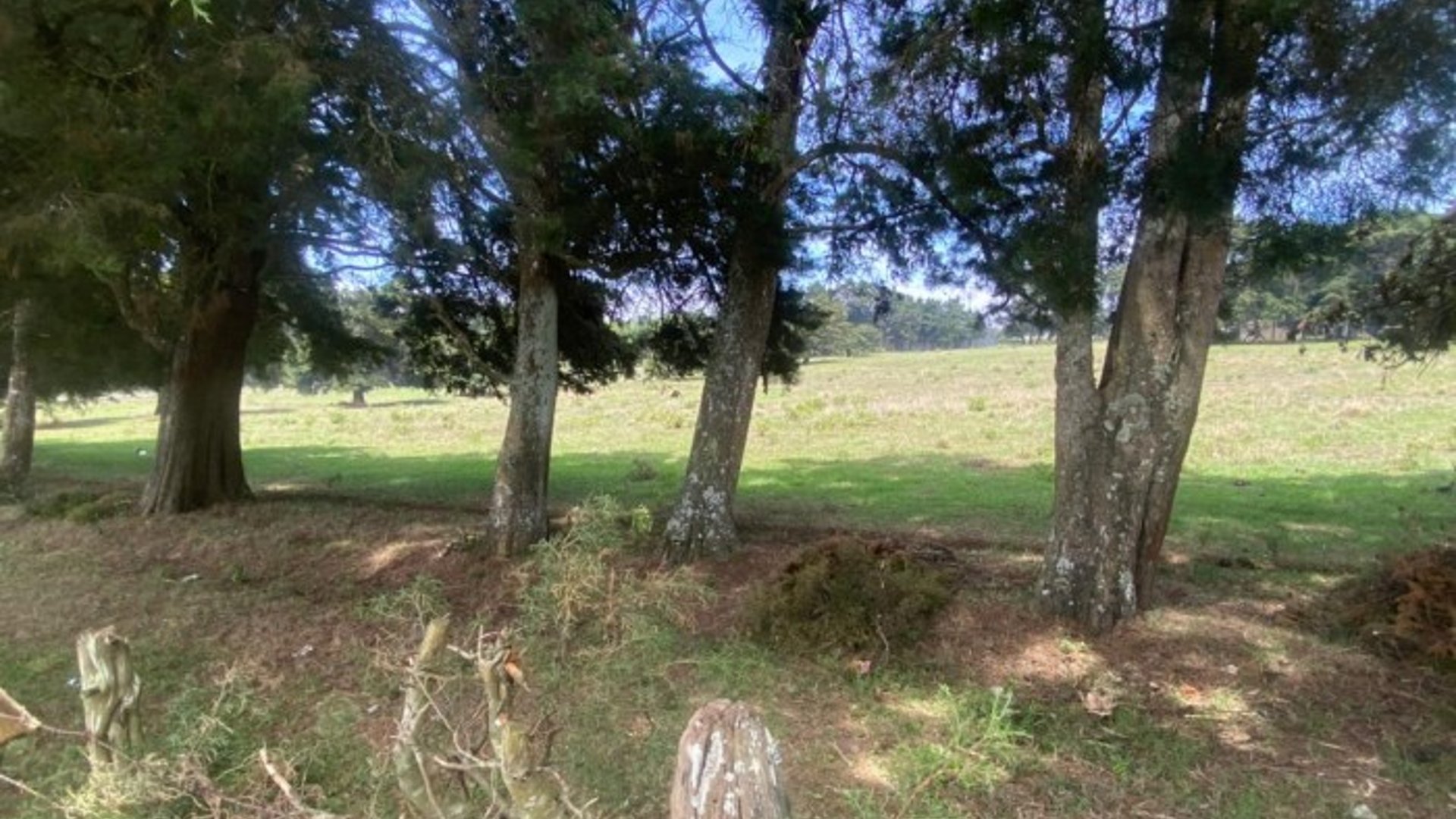 venta de terreno en carretera a el salvador - Miniatura 4