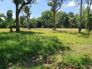 Terreno plano de 8 manzanas -  sobre Santa Elena Barillas Ref-5949 - 2