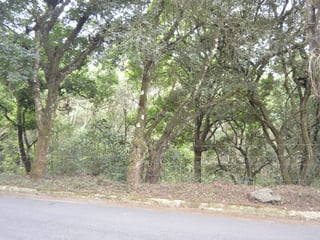Terreno en venta, en Fraijanes - 4