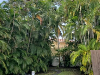 Casa en la Playa en venta, Punta San Marino - 5