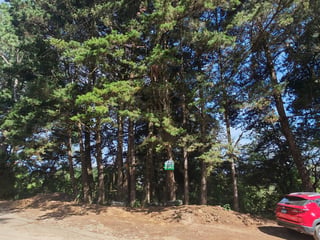 Terreno en Venta en Granja Buenos Aires - 3