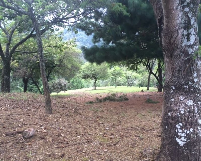 LAS TINAJAS / Terreno en Venta