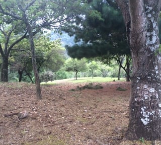 LAS TINAJAS / Terreno en Venta
