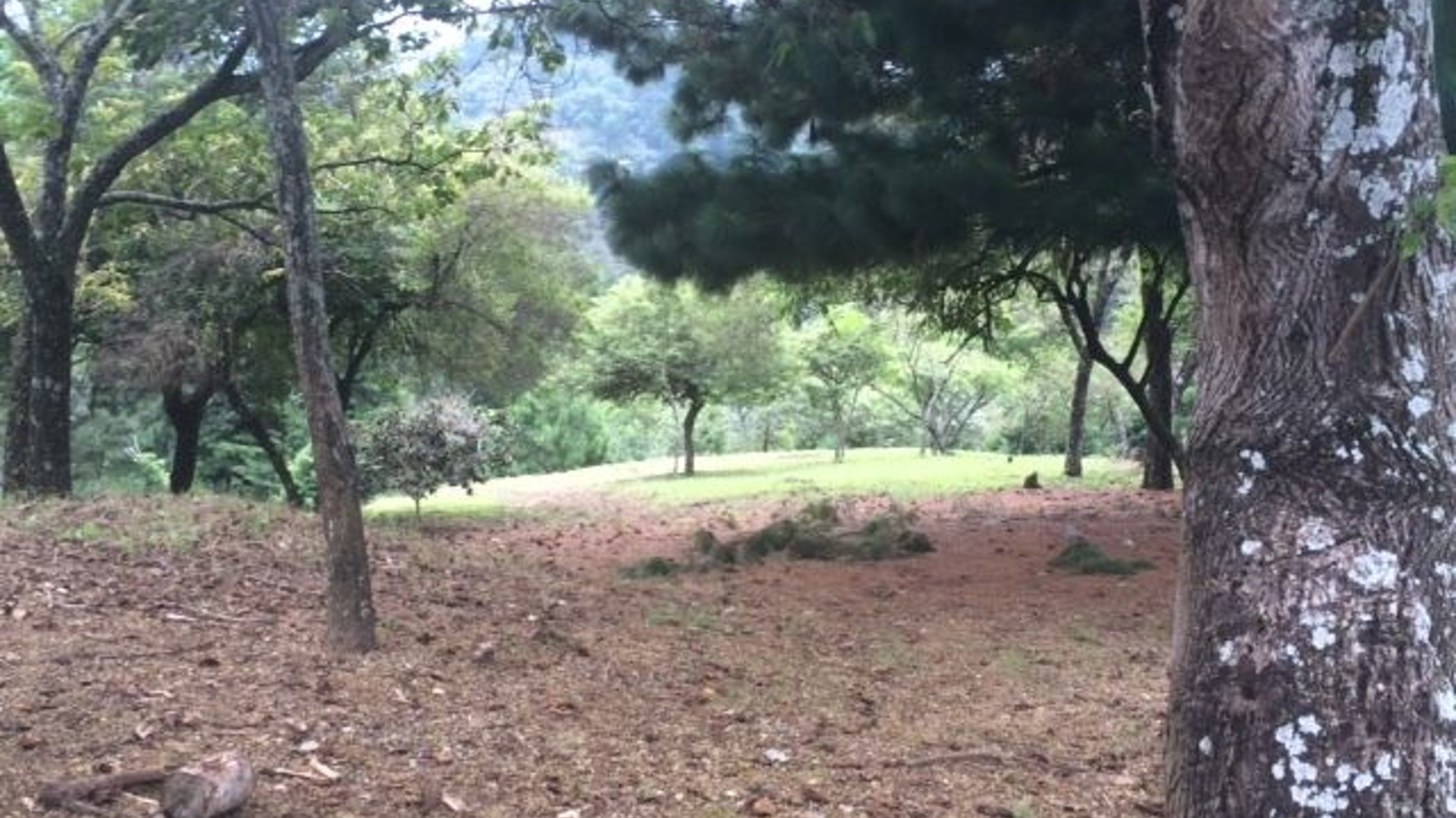 LAS TINAJAS / Terreno en Venta