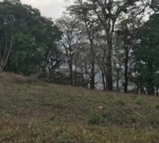 Venta de terreno dentro Residencial Cuilapa Santa Rosa