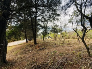 VENTA DE AMPLIOS TERRENOS - CASA & CAMPO, KM 23.5 CES - 3