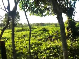 Terreno en Venta en La Libertad, Peten - Image 5