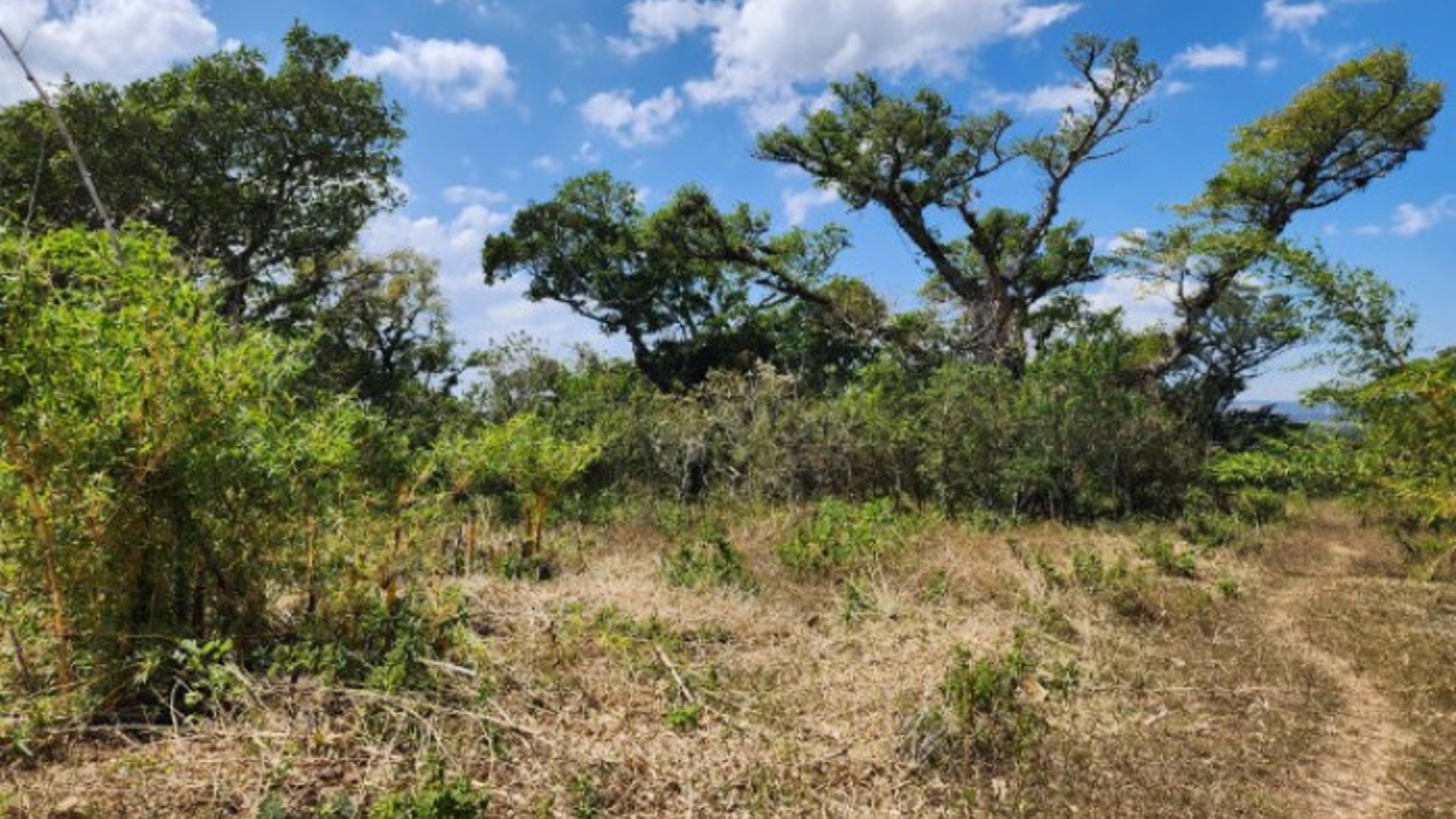 Atención Inversionistas, Terreno en Venta Guatemala - Miniatura 17