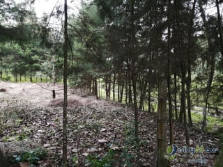 Terreno En Venta, en Santo Domingo Xenacoj - 5