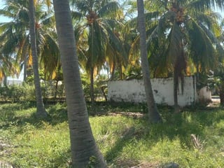 LA BARRITA, MOYUTA | FRENTE AL MAR | TERRENO EN VENTA - 2