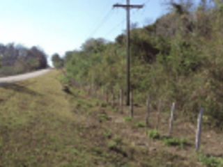 TERRENO EN CAOBA PETEN - Image 3