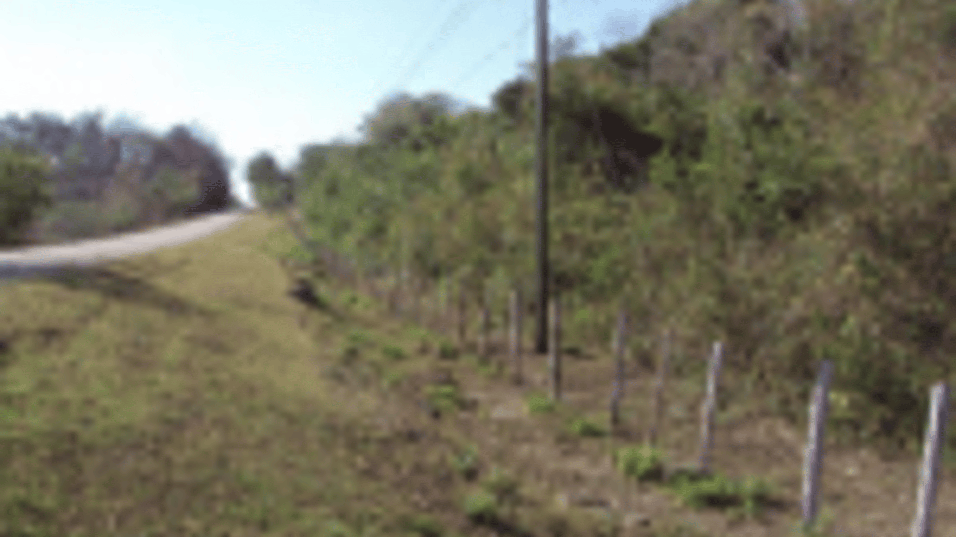 TERRENO EN CAOBA PETEN - Miniatura 3