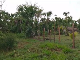TERRENO EN VENTA – ALDEA EL CEBOLLITO, HAWÁI CHIQUIMULA - 2