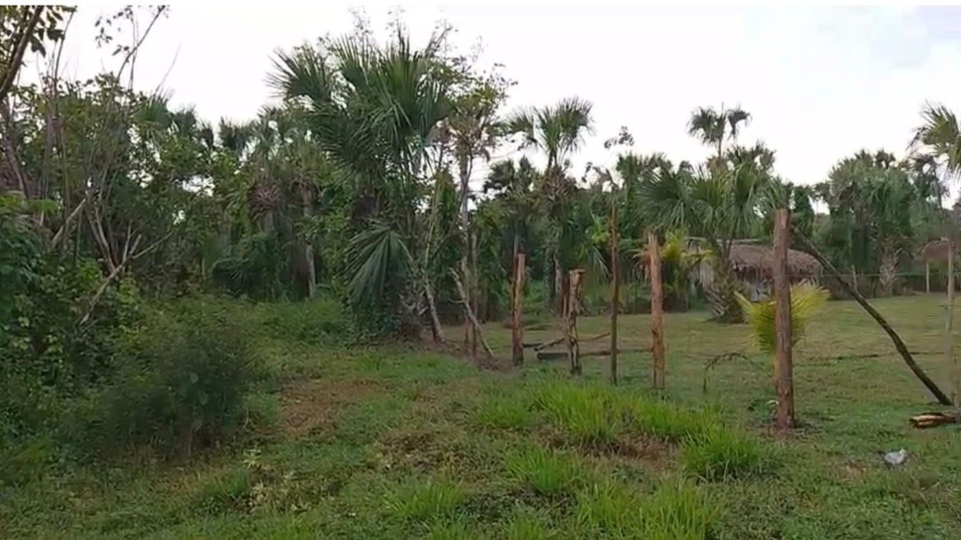 TERRENO EN VENTA – ALDEA EL CEBOLLITO, HAWÁI CHIQUIMULA - Miniatura 2