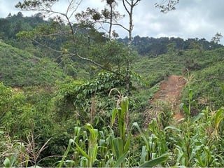 Terreno de 11 manzanas en venta en Laguna Bermeja , Santa Catarina Pinula - 4