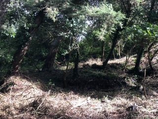 Terreno en Venta en Pacul, Sacatepéquez / EN DIRECTO - 3