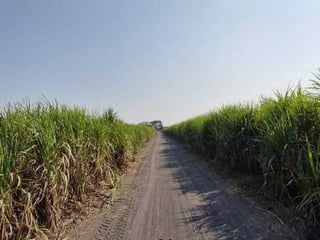 Terreno en Venta  Carretera Antigua Puerto  San José - Image 4