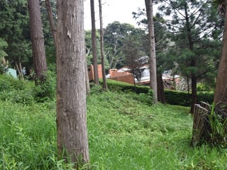 TERRENO EN VENTA EN SANTA ROSALIA LA LAGUNA - 4