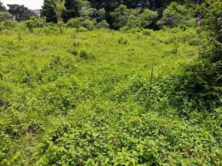 TERRENO CARRETERA A FRAIJANES  EN VENTA , CES - 3