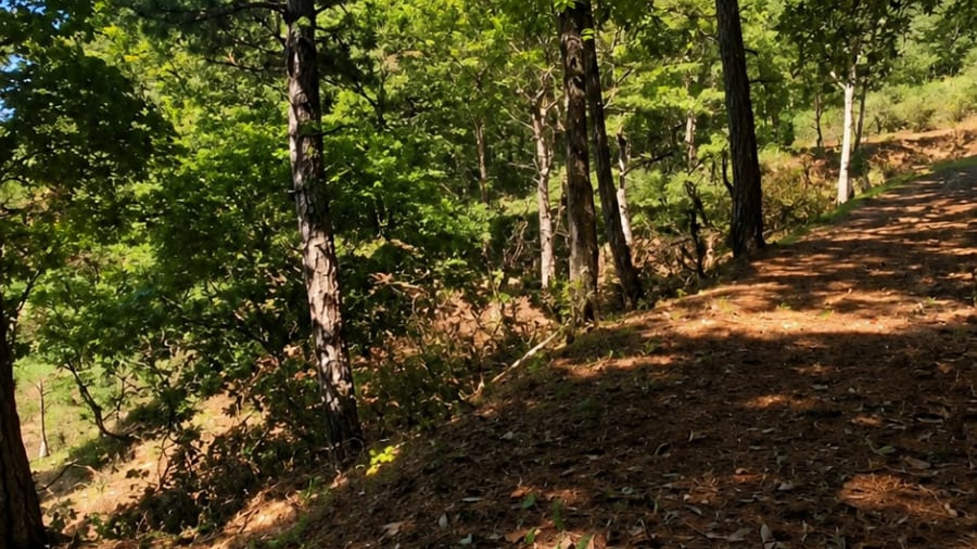 Terreno en Venta en Fraijanes, Guatemala