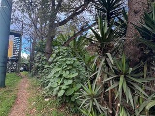 Terreno en Venta en Carretera San Lucas hacia Antigua - Image 8