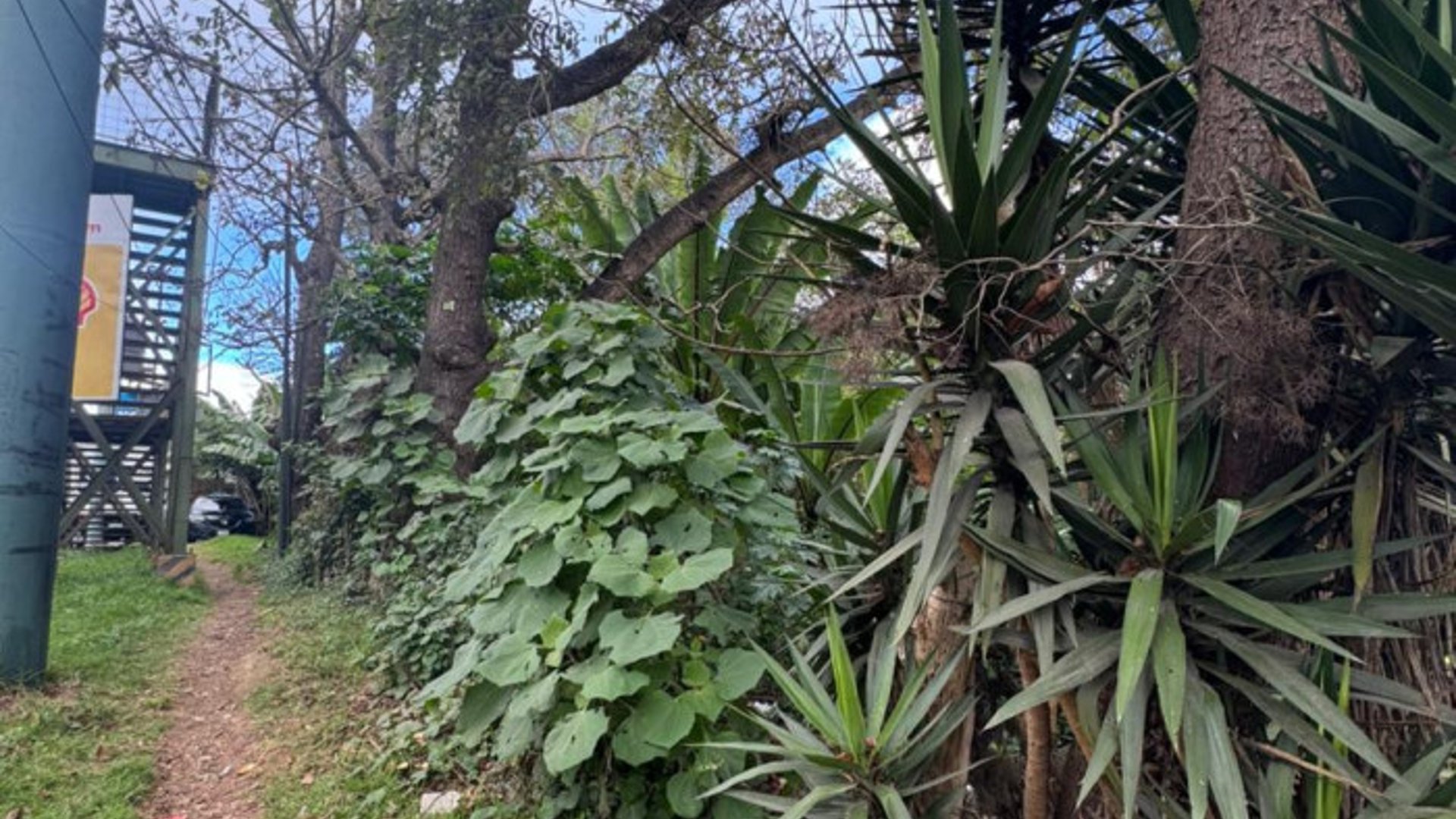 Terreno en Venta en Carretera San Lucas hacia Antigua - Miniatura 8