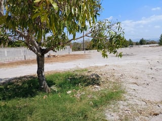 Terreno en Venta y Renta, Monjas Jalapa - 4