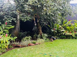 Casa en renta – Zona 14  La Villa fuera de garita - 3