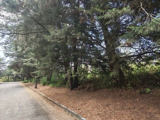 en venta en Casa   Campo Terreno plano - Image 3