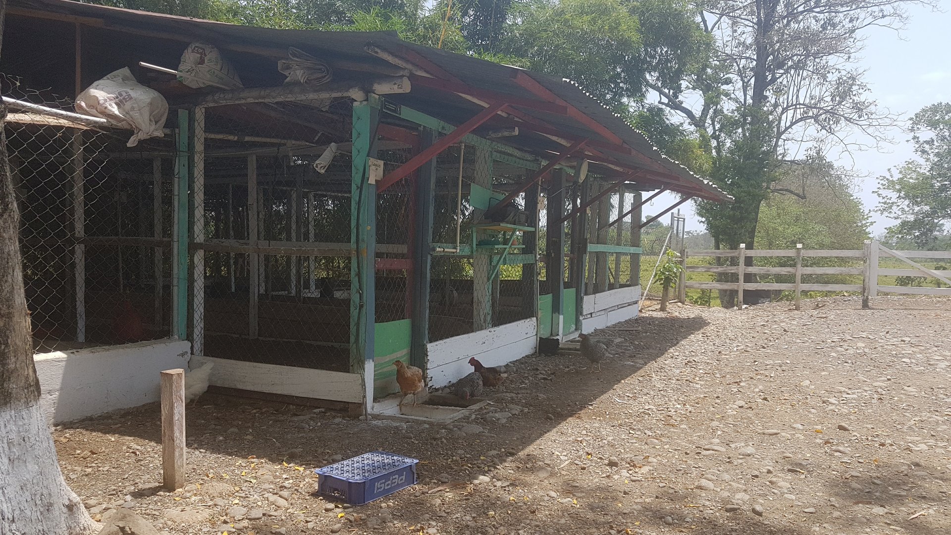 FINCA EN VENTA EN ALDEA EL SAUCE  - Miniatura 41