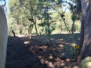 Terreno en Venta / KM. 16.5 Carretera a El Salvador / Santa Catarina Pinula - 3