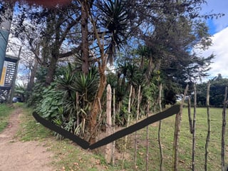 Terreno en Venta en Carretera San Lucas hacia Antigua - 4